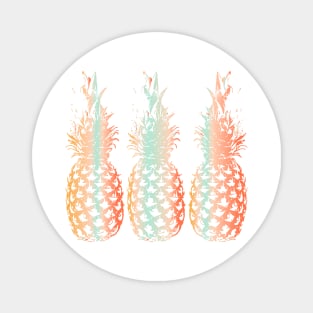 Paradise Pineapples Magnet